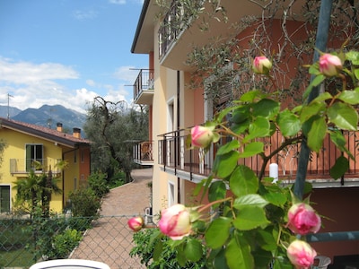 Luna apartment with wonderful lake and olive trees view