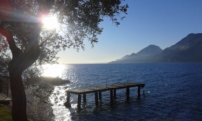 Luna apartment with wonderful lake and olive trees view