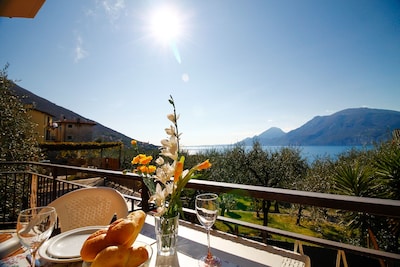 Luna apartment with wonderful lake and olive trees view