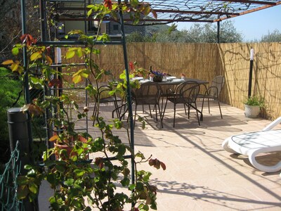 Luna apartment with wonderful lake and olive trees view