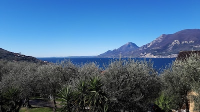 Luna apartment with wonderful lake and olive trees view