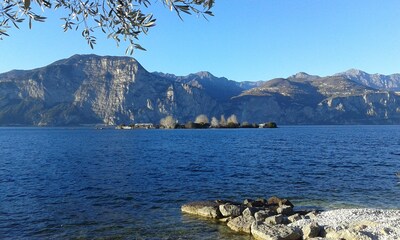 Luna apartment with wonderful lake and olive trees view