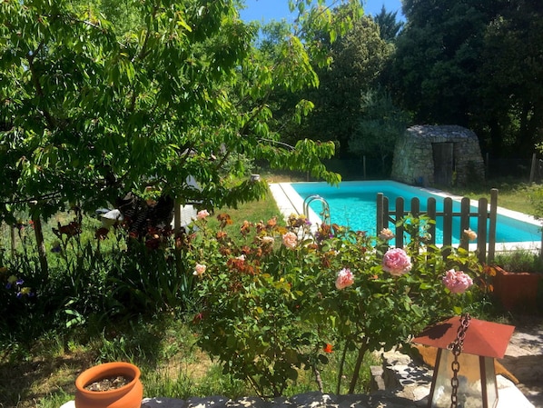 Property, Backyard, Yard, Majorelle Blue, Garden, Leisure, Swimming Pool, Tree, Landscape, Plant