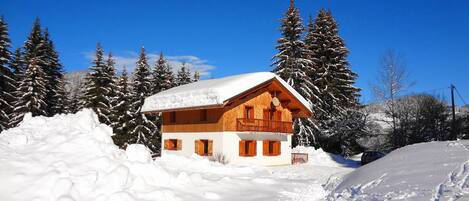 Chalet varni in Winter