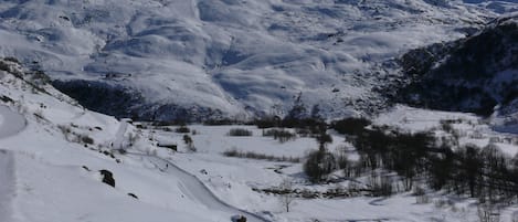 Sneeuw- en skisporten