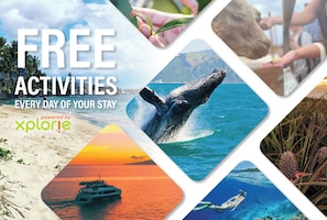 Kihei Alii Kai A207 Free Activities S1