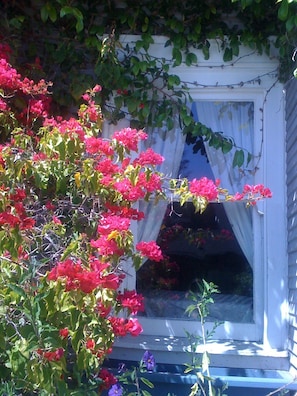 Original window detail on 1908 landmark Edwardian 
home.