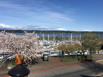 Incredible Views, Day and Harbour lit Nights