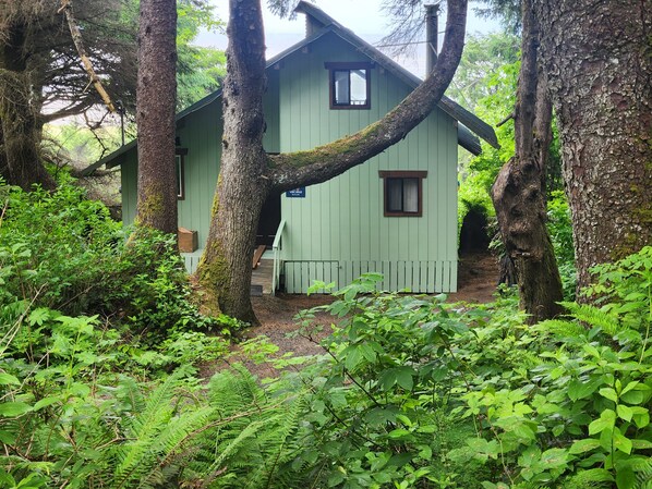 Ulkopuoli