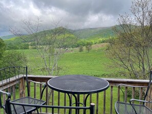 Spring view from the deck.  Often there are cows in that pasture.