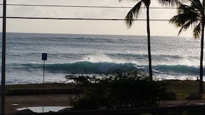 Experience the rhythm of the ocean