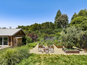 Veggie Garden in Summer