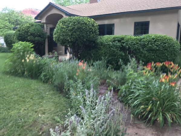 beautifully manicured front lawn