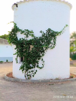 Exterior detail
