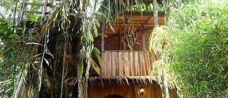 Jungle Tree House