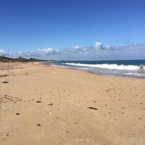 Dog Beach in front looking South.