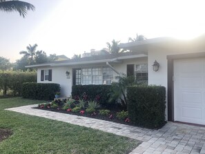 new paint and landscapig