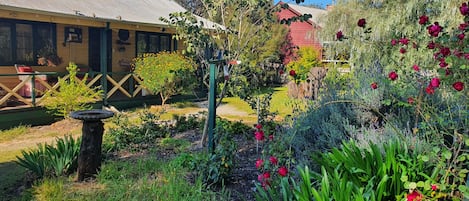 Welcome to "Woodcutters' Cottage" Front garden in spring. 