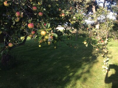 Luxury cottage in countryside setting near to St Andrews perfect for golfers 