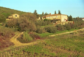 The view from the valley :
At the left the cellar, in the middle the “Capanna”, on the right the mainhouse.
