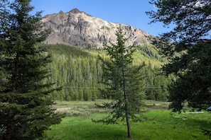 View of Mount Republic from the front yard