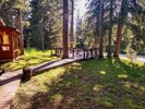 Wooden walkway to deck overlooking Soda Butte Creek