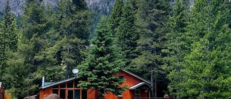 Front view of the cabin, with a couple of neighborhood bison in the yard