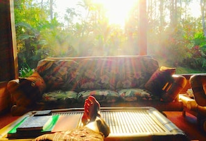 The sun as it comes into the living room