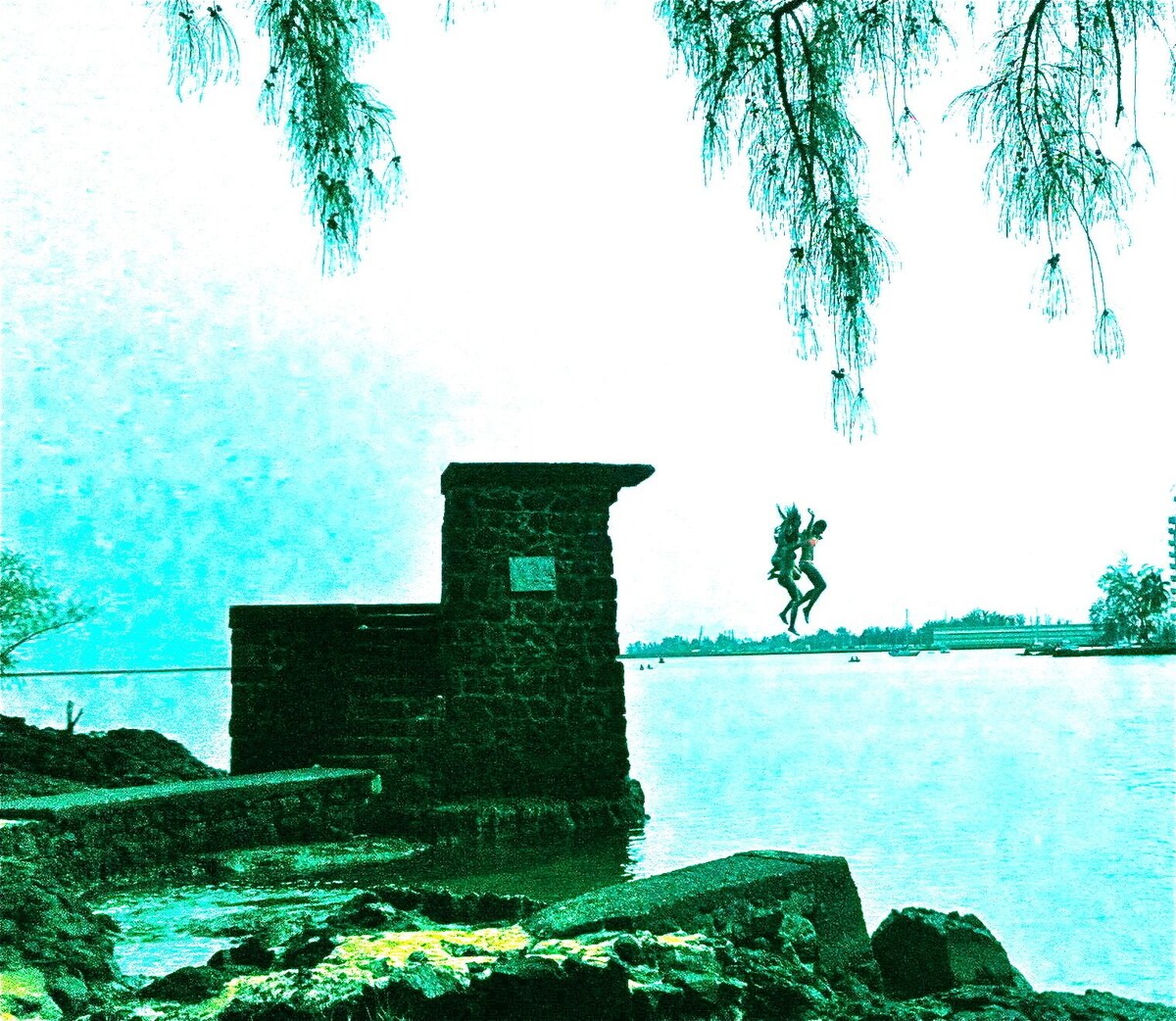 Main Image