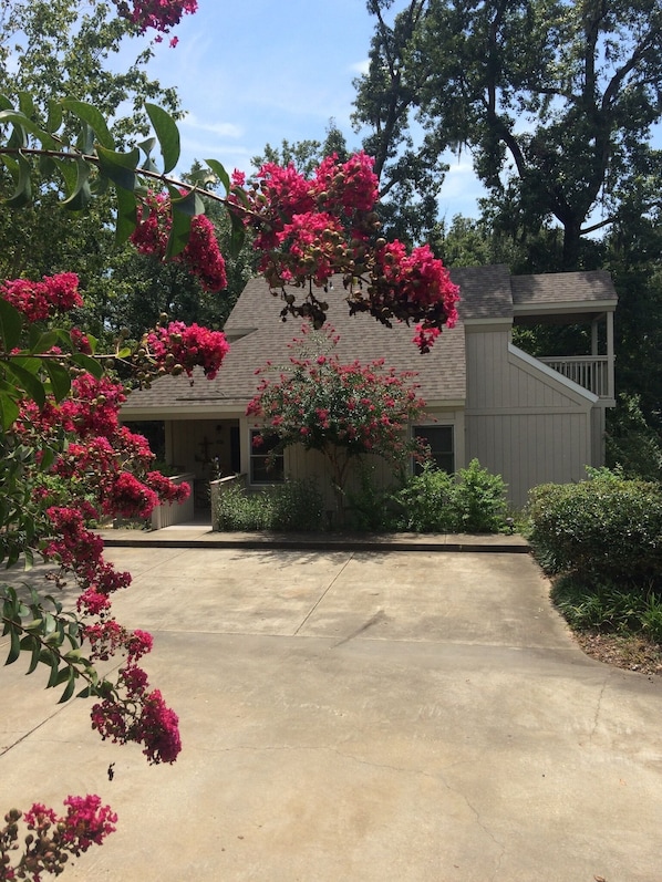 Summertime photo of our Lake house.  