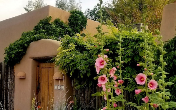 The Rose Casita Wooden Gate  Entrance
