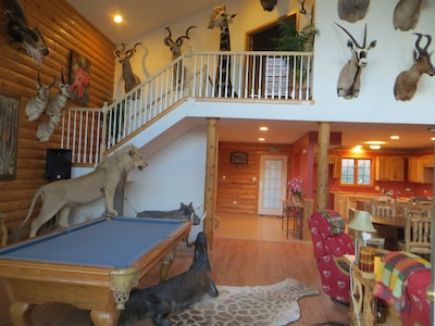 This Cabin Is The Most Unique , Life Size Mounted Animals,man Cave Supreme