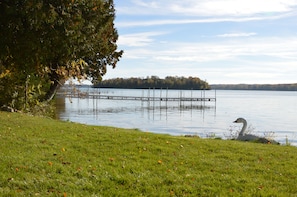 Beautiful Lakeshore