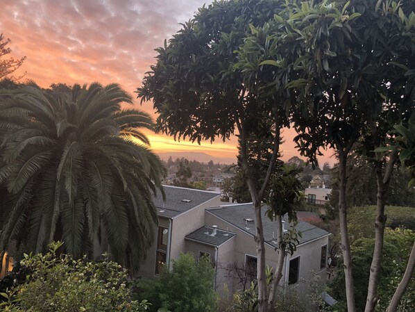 View from bedroom