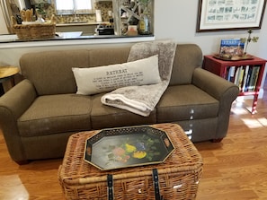 living room with a pull out sleeper