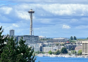 Space Needle view from balcony