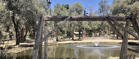 Relax and enjoy the serenity of the duck pond