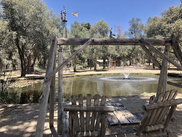 Relax and enjoy the serenity of the duck pond