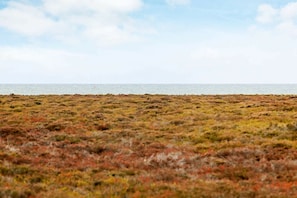 Vue sur l'eau