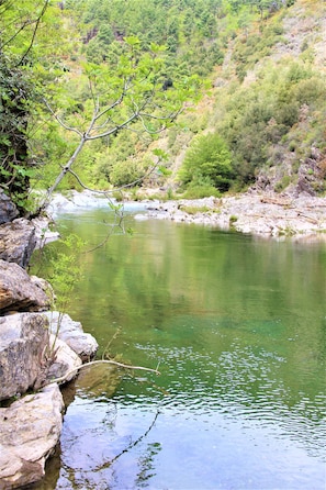 Naturpool