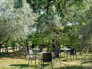 Plant, Table, Plant Community, Tree, Shade, Natural Landscape, Vegetation, Outdoor Furniture, Grass, Woody Plant