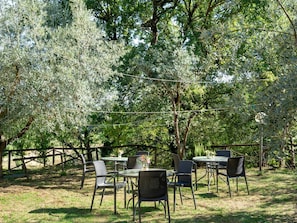 Plante, Table, Communauté Des Plantes, Arbre, Ombre, Paysage Naturel, Végétation, Mobilier De Jardin, Herbe, Suppression Des Plantes Ligneuses