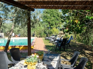 Plante, Table, Meubles, Propriété, Chaise, Vaisselle, La Nature, Botanique, Feuille, Ombre