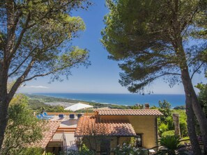 Ciel, Plante, Bâtiment, Jour, Communauté Des Plantes, La Nature, Bleu Azur, Arbre, Maison, Ombre