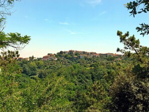 Vegetation, Himmel, Natur, Natürliche Landschaft, Baum, Grün, Natürlichen Umgebung, Biome, Naturschutzgebiet, Blatt