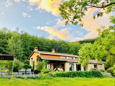 Casa de campo en bosque de robles y castaños