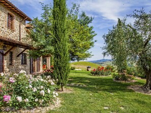 Property, House, Tree, Cottage, Real Estate, Garden, Building, Home, Grass, Rural Area