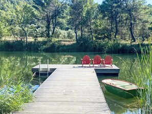 L'Eau, Plante, Bateau, Véhicule, Arbre, Paysage Naturel, Botanique, Lac, Navire, Herbe