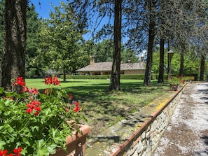 Végétation, Propriété, Arbre, Environnement Naturel, Réserve Naturelle, Jardin, Printemps, Plante, Fleur, Botanique
