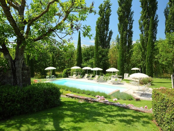 Plante, Ciel, Communauté Des Plantes, Arbre, Paysage Naturel, Ombre, Lot Terre, Herbe, L'Eau, Parapluie